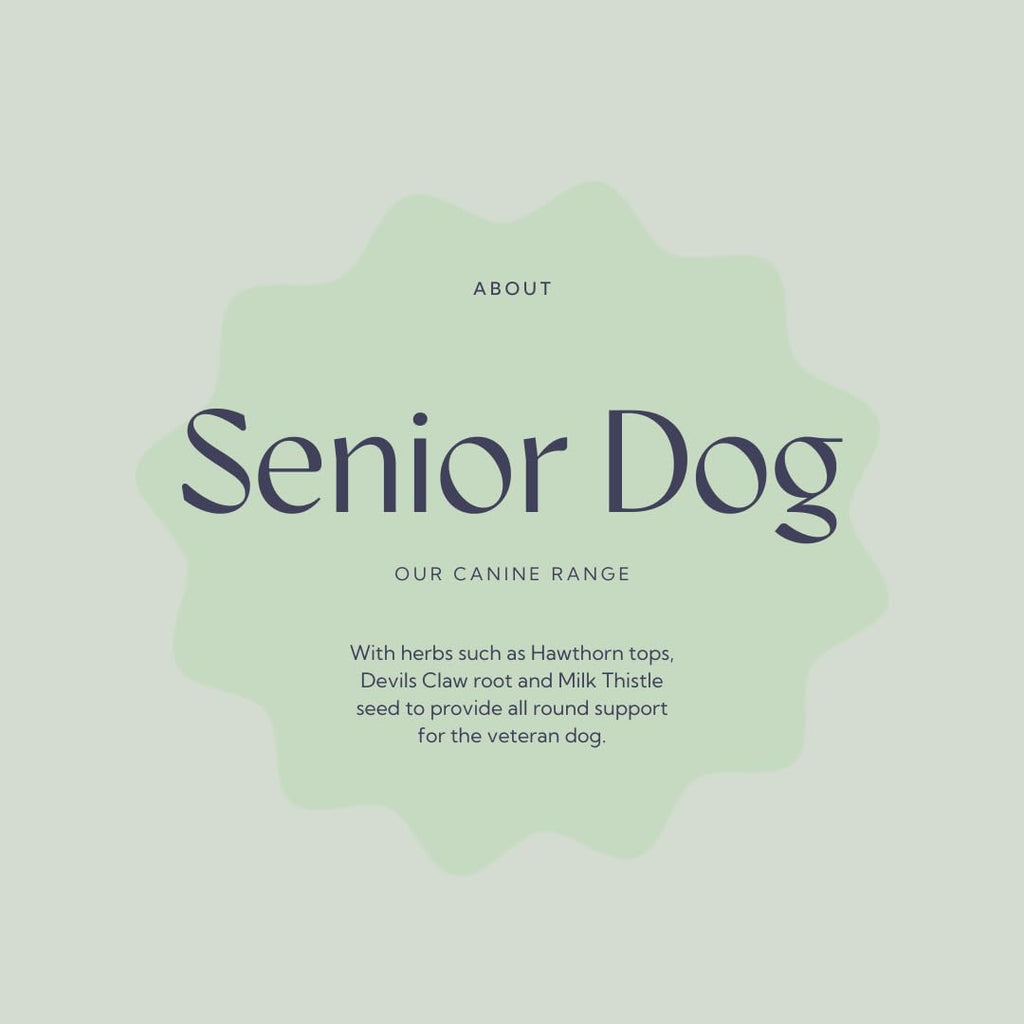 Senior Dog Health Supplement 4.4 oz Tub F519878
