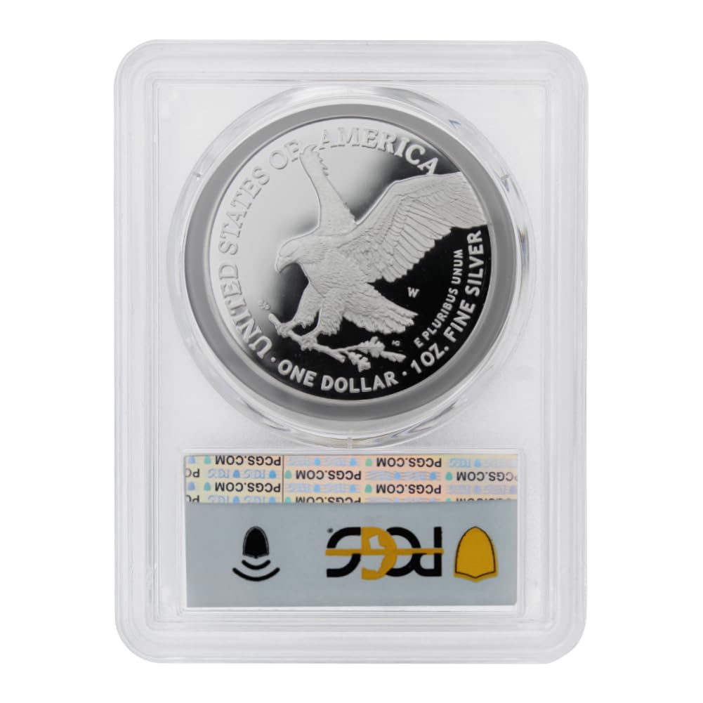 1 oz American Silver Eagle Coin Z6650