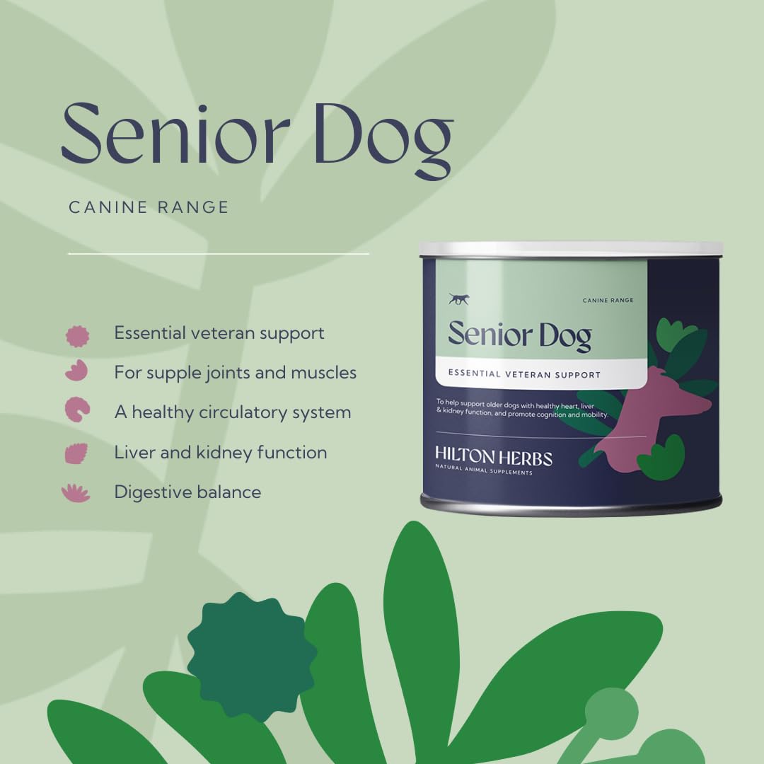 Senior Dog Health Supplement 4.4 oz Tub F519878