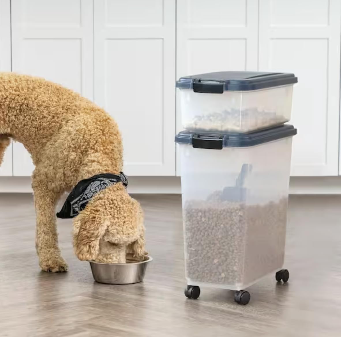 Airtight Pet Food Storage Combo with Scoop F688288