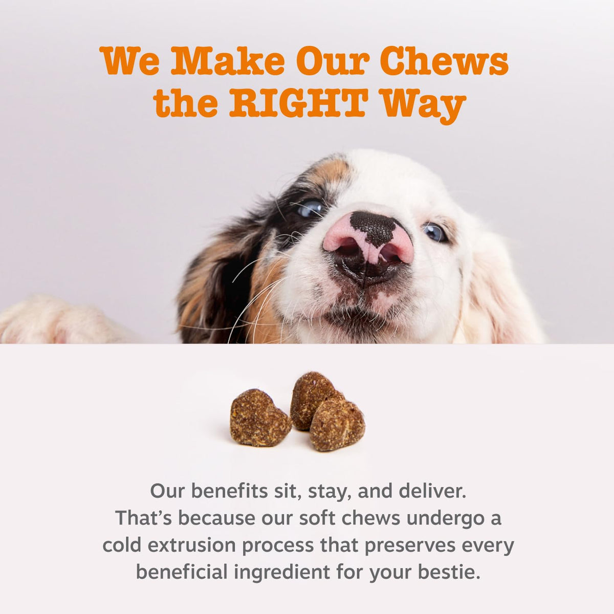 90 Count Dog Weight Management Supplement C64093