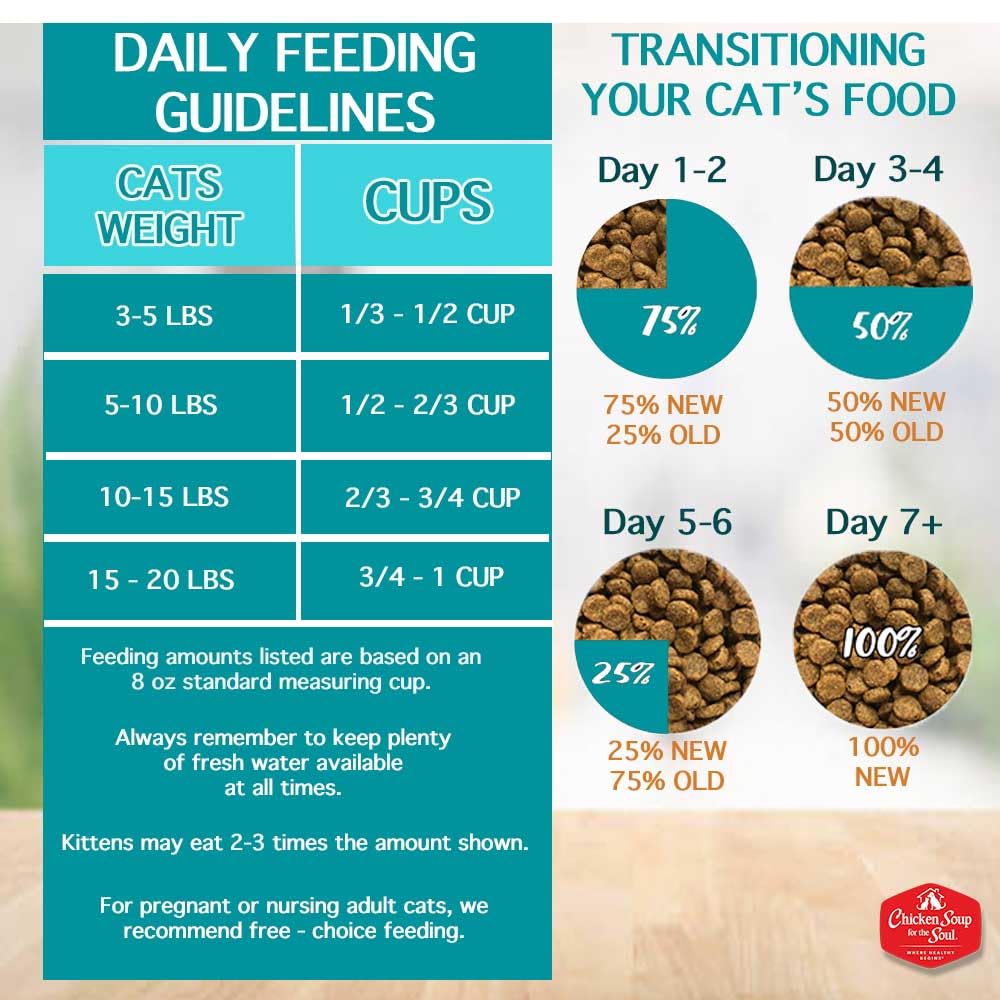 All Natural Grain-Free Dry Cat Food Salmon & Legumes 4lb Q339
