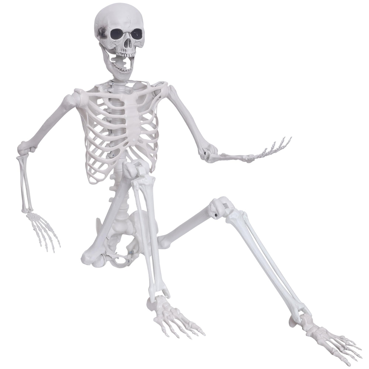 5.4ft Posable Full Body Skeleton W76476
