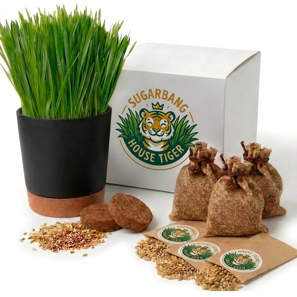 Cat Grass Gift Set with Self-Watering Pot & 3-Pack Refill O9733