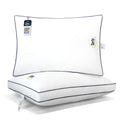 Queen Size Set of 2 Bed Pillows D324