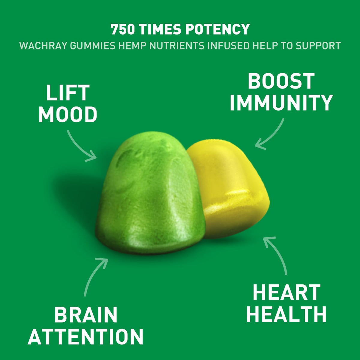 Organic Hemp Gummies 240 Count L6098