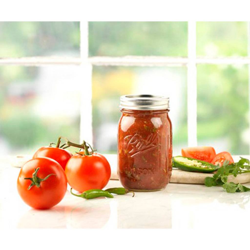 12 Regular Mouth Glass Mason Jars with Lid and Band F49173