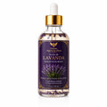 Lavender Body Oil 4 Fl Oz H12462