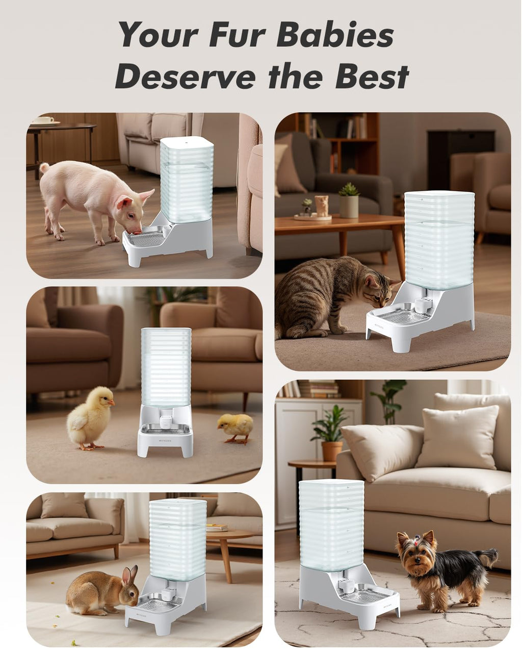8L Stainless Steel Gravity Dog Water Bowl Dispenser with Filter F6414