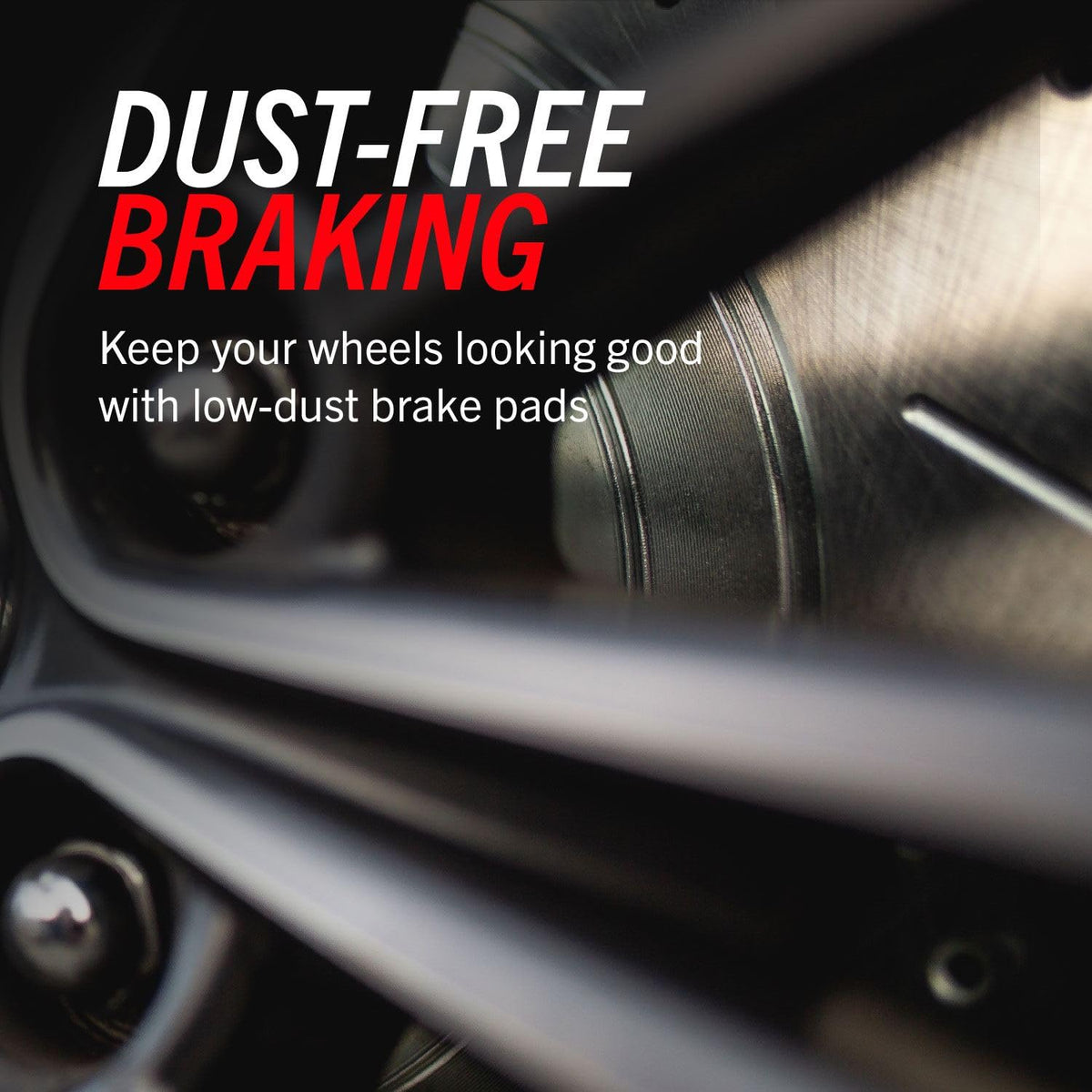 Brake Pad & Rotor Kit W95169