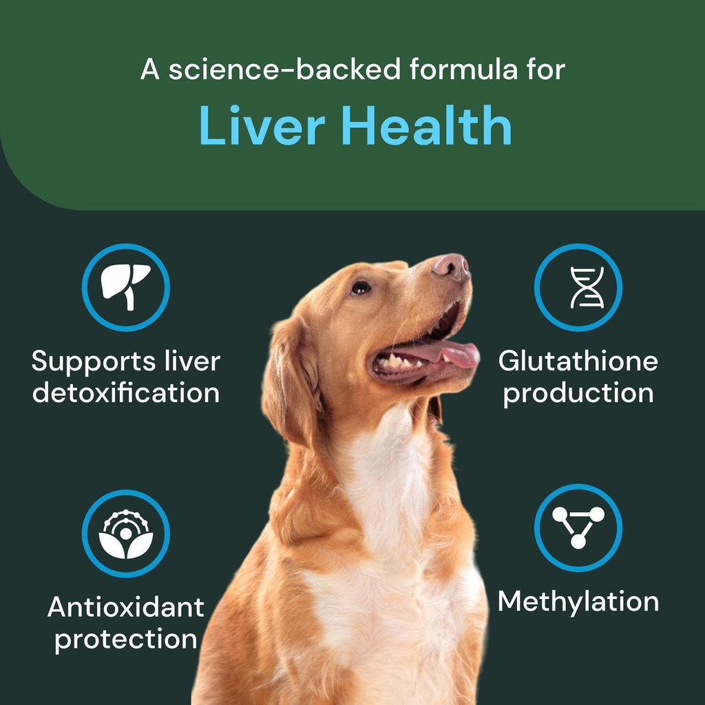 Liver Health Chews 60 Count C21527