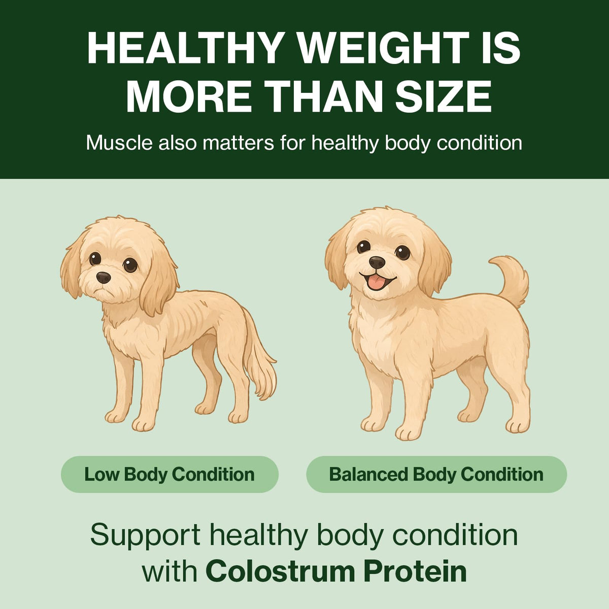 Colostrum Whey Protein Dog Supplement 30 Tubes U439353