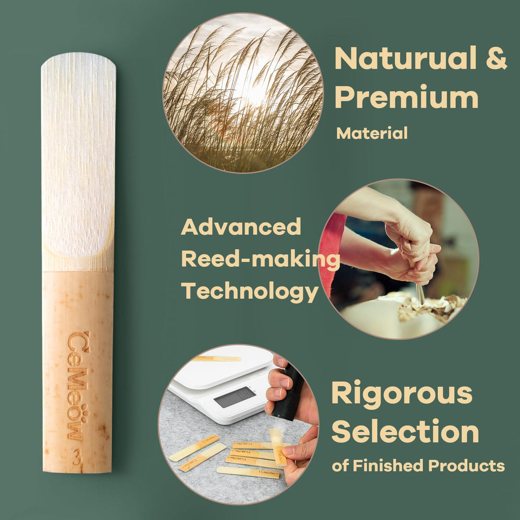 Alto Saxophone Reeds 2.0 10 Pack D14671