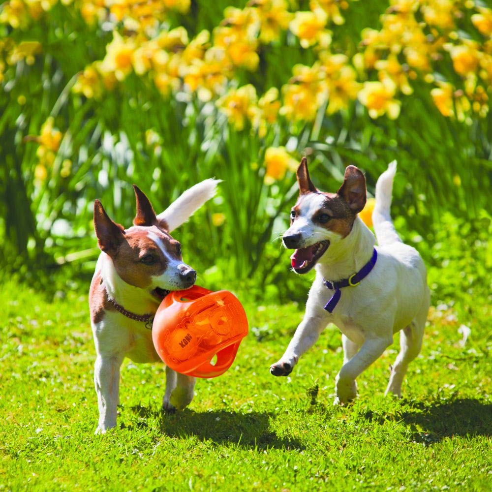 Interactive Fetch Ball for Medium Large Dogs A353