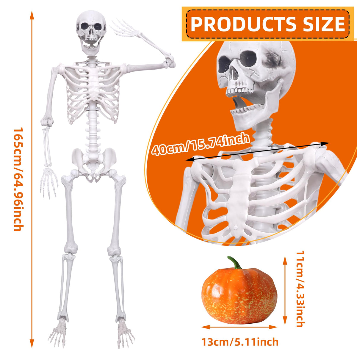 5.4ft Posable Full Body Skeleton W76476