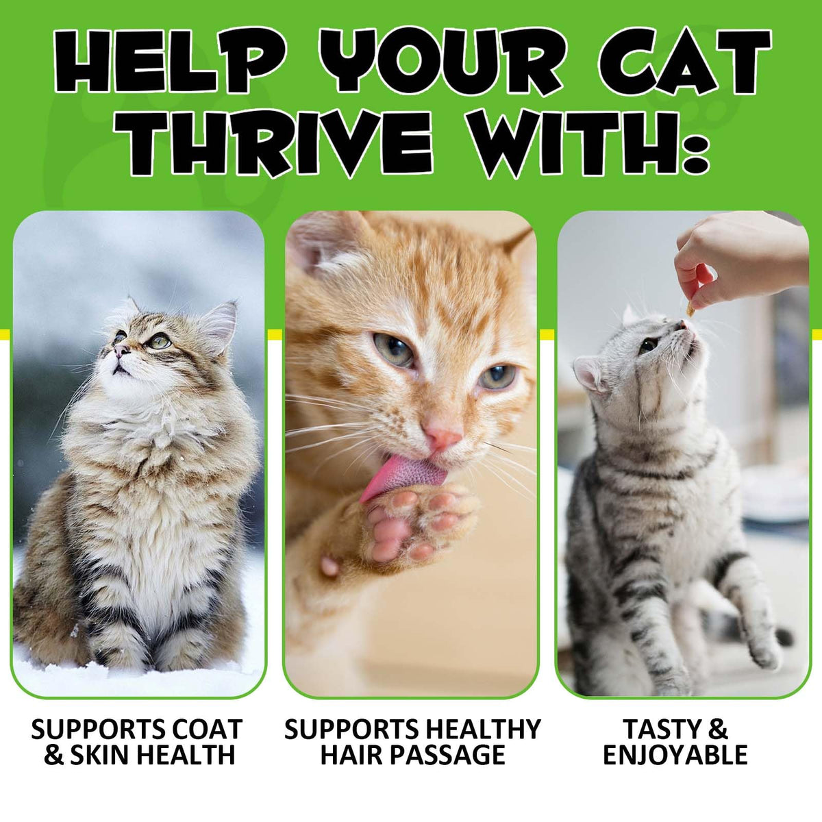 Chicken Flavor Hairball Support Chews L446