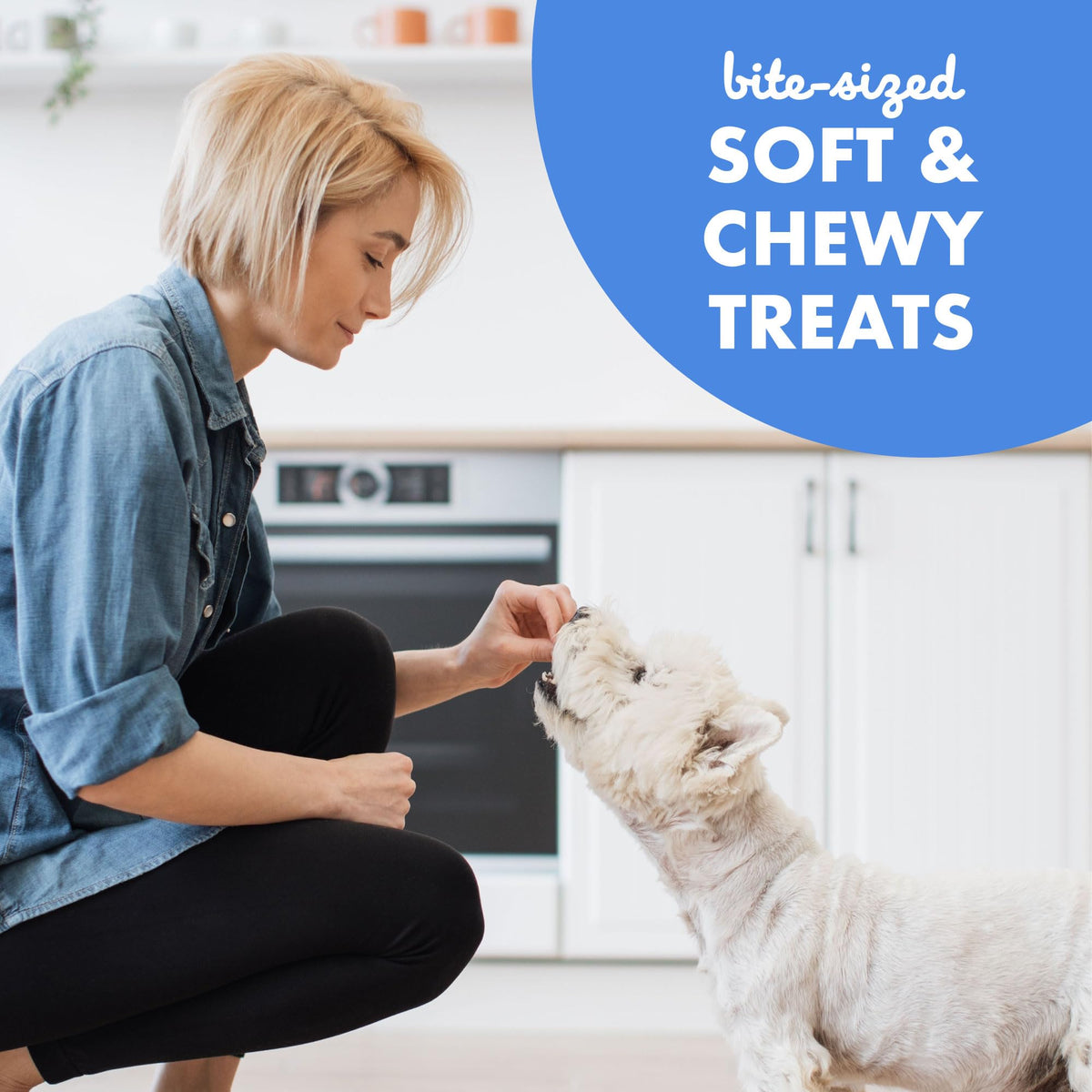 Soft & Chewy Bacon Dog Treats 10 oz T289685
