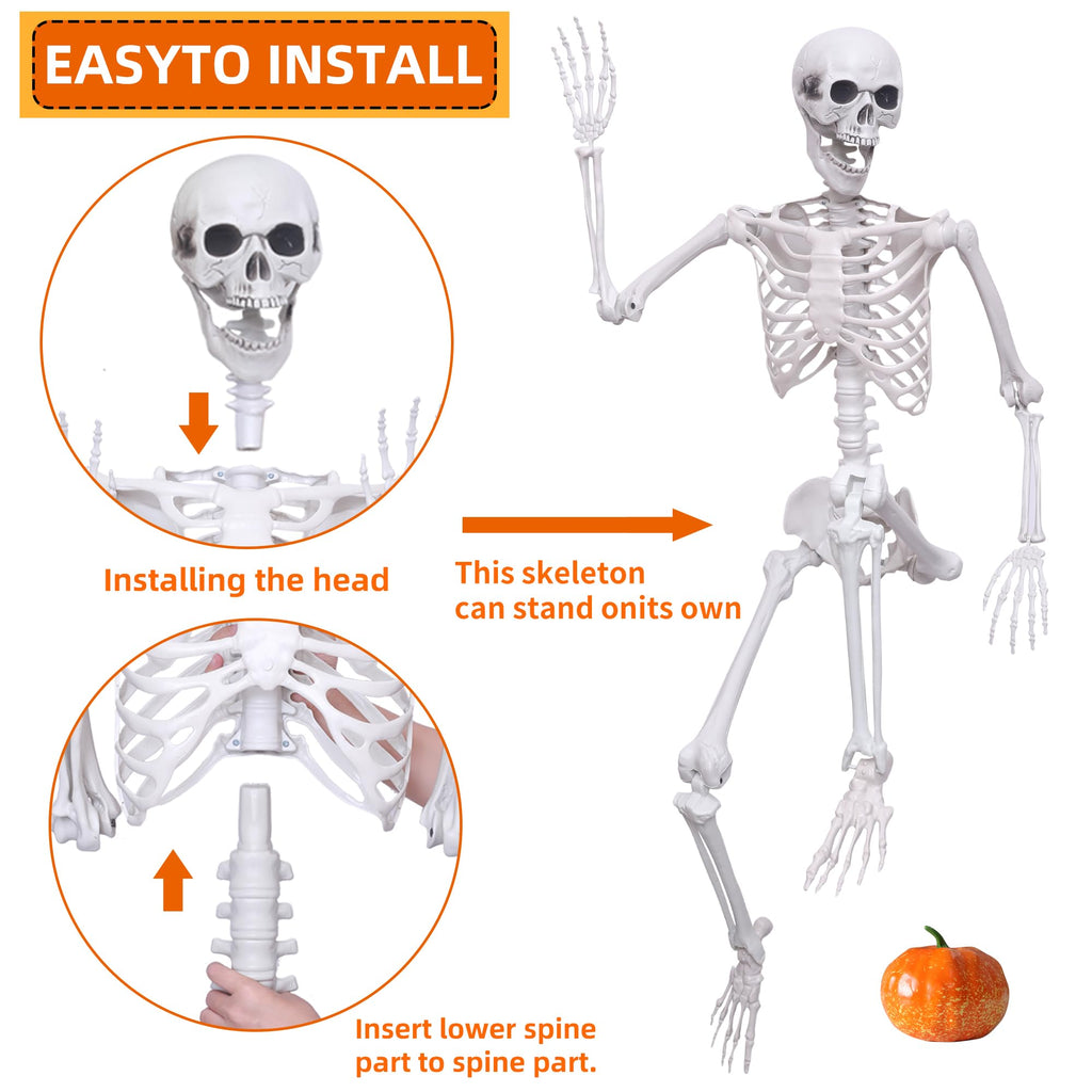 5.4ft Posable Full Body Skeleton W76476