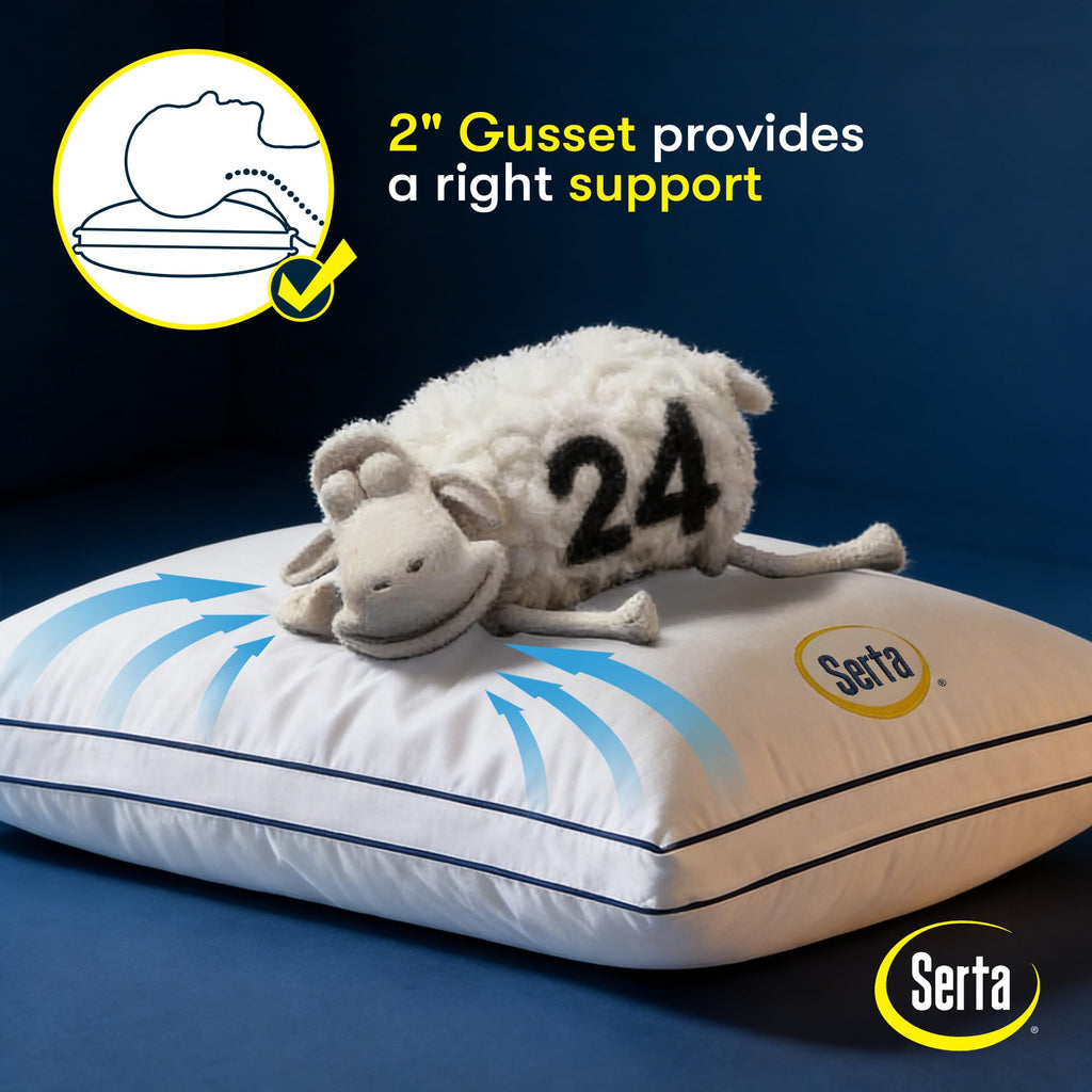 Queen Size Set of 2 Bed Pillows D324