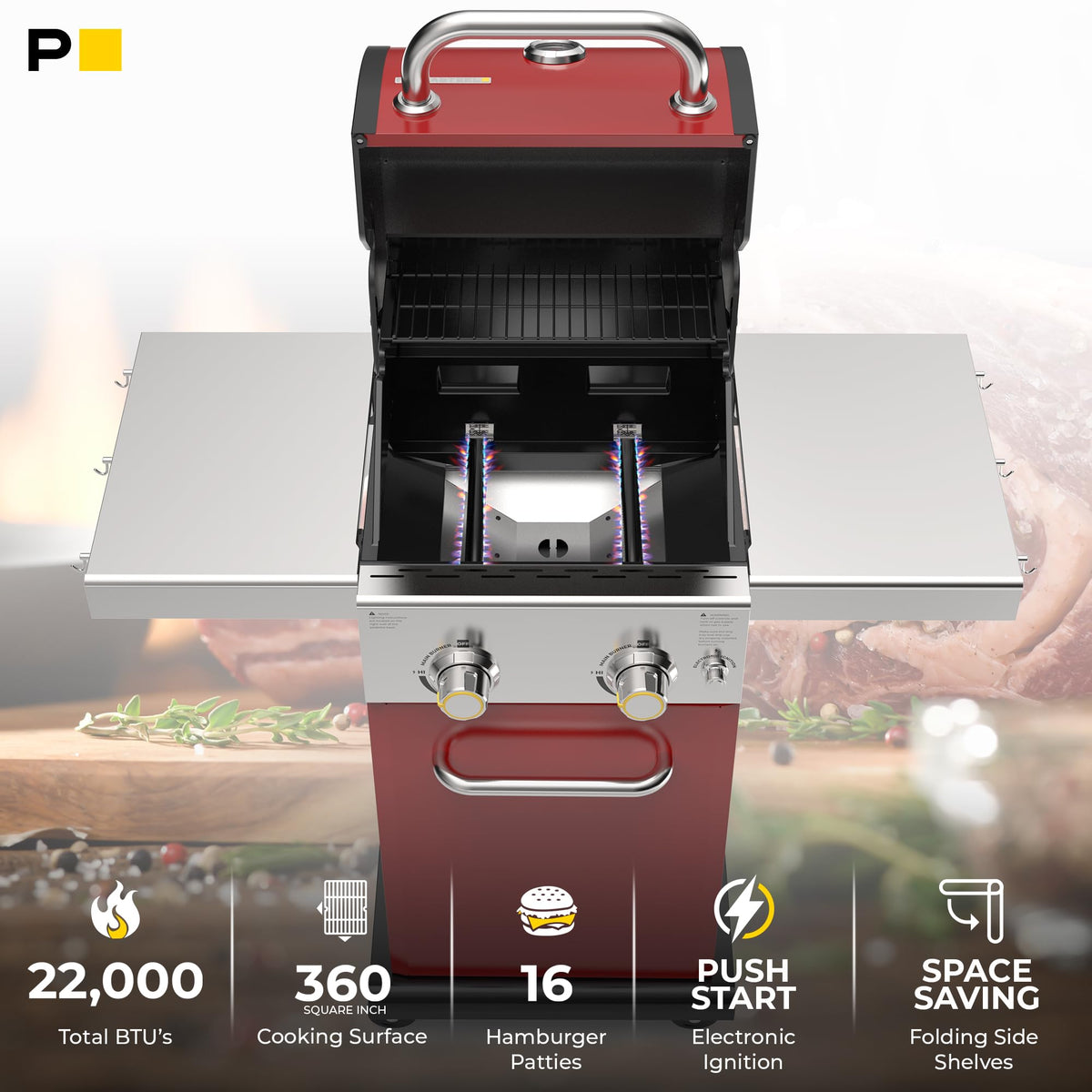 2-Burner Propane Gas Grill with Foldable Side Tables O7126