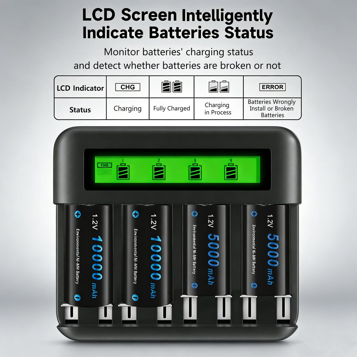 4 Pack Rechargeable D Batteries with Charger E1735