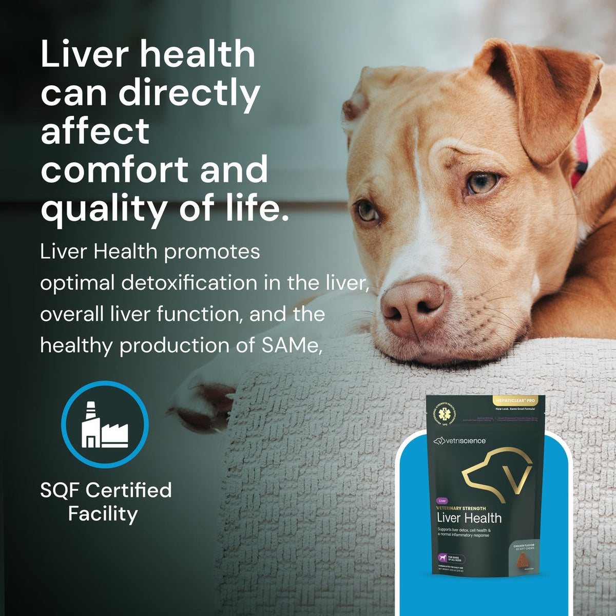 Liver Health Chews 60 Count C21527