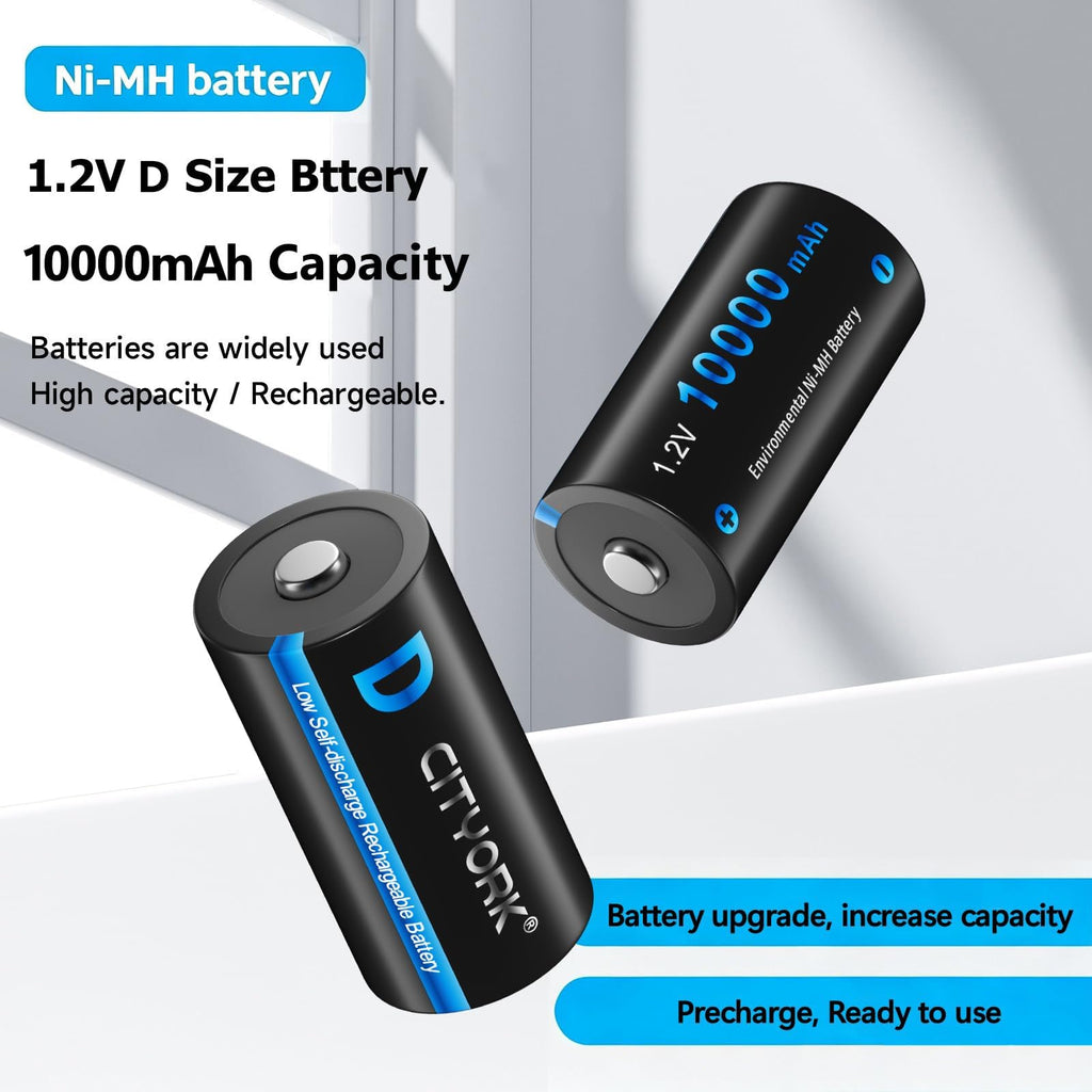4 Pack Rechargeable D Batteries with Charger E1735