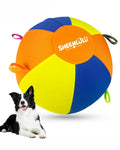 22" Dog Herding Ball with Straps Z298