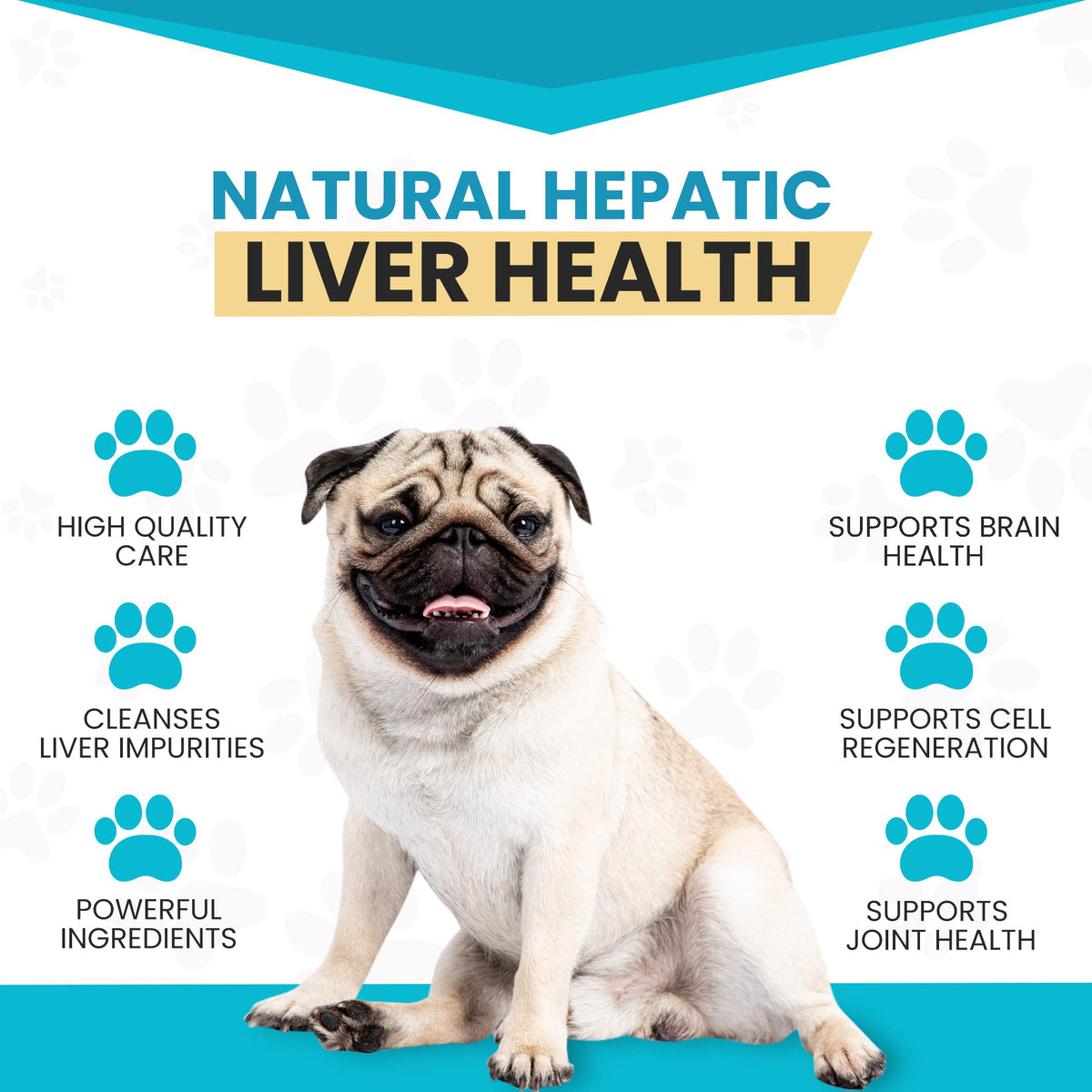 Milk Thistle & SAMe100 for Dogs F709