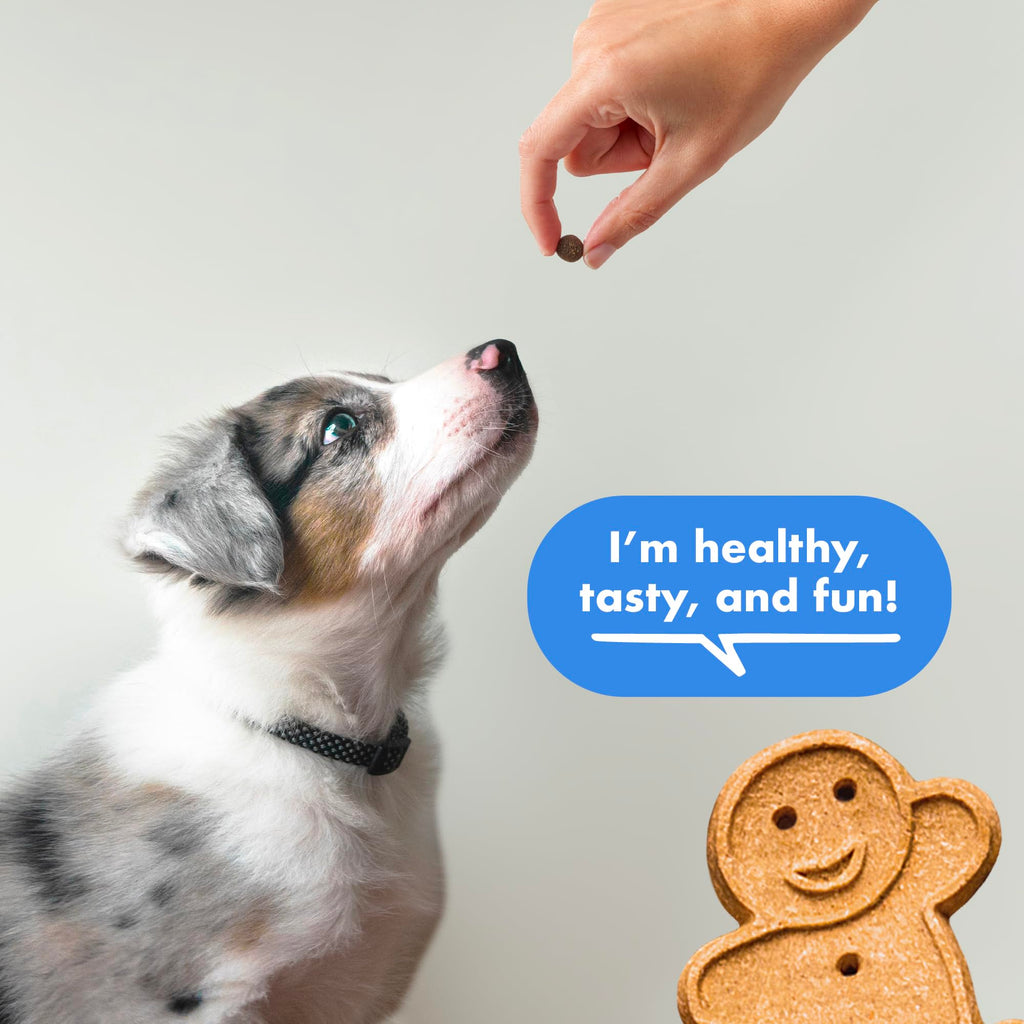Soft & Chewy Bacon Dog Treats 10 oz T289685