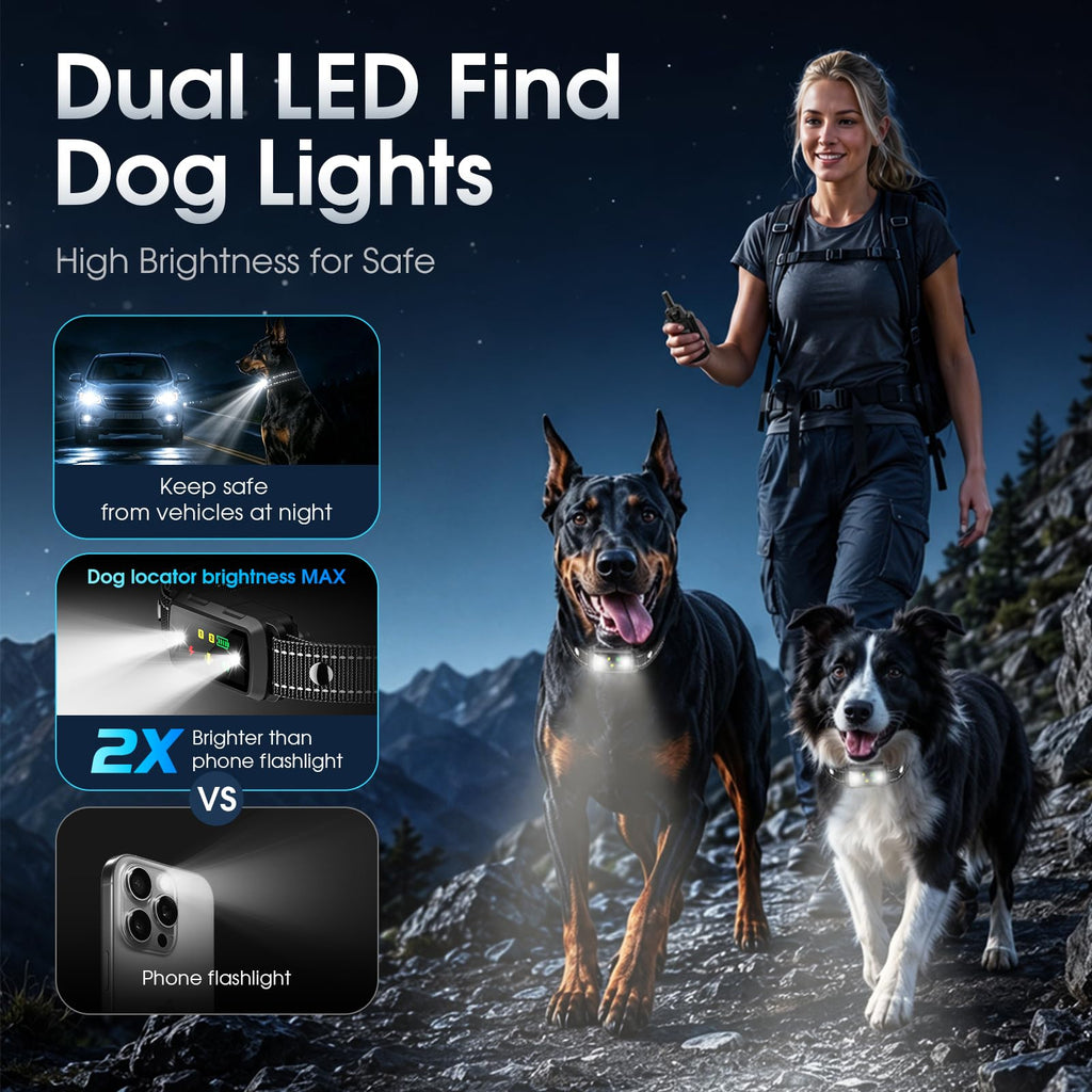 2 Dogs Waterproof Dog Training Collar with Remote O9809