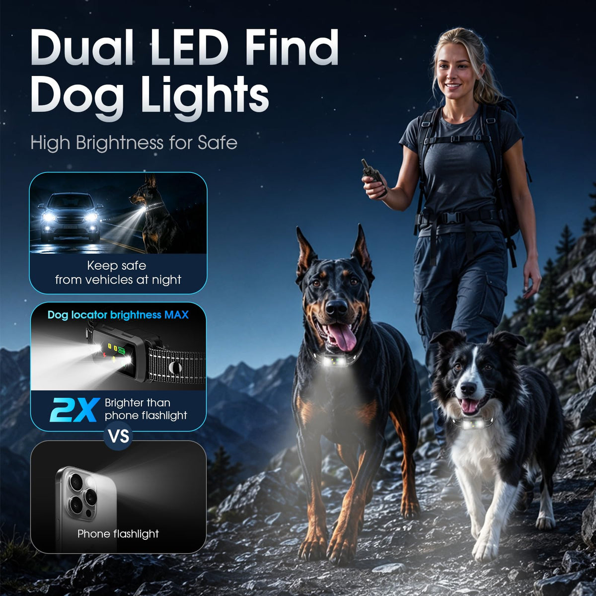 2 Dogs Waterproof Dog Training Collar with Remote O9809