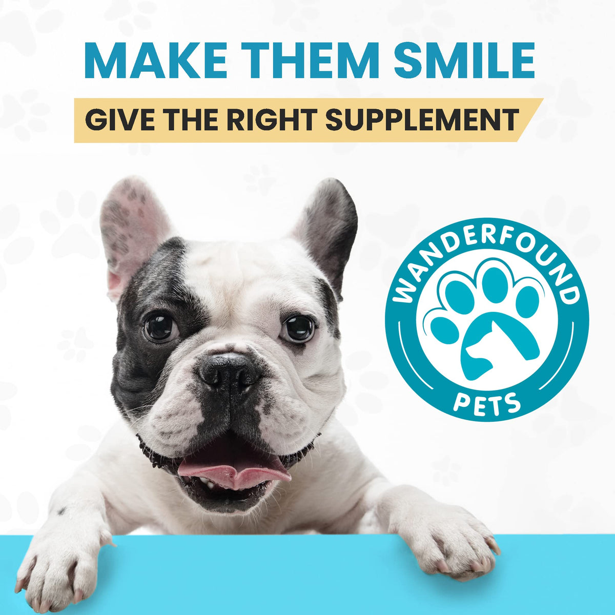 Milk Thistle & SAMe100 for Dogs F709