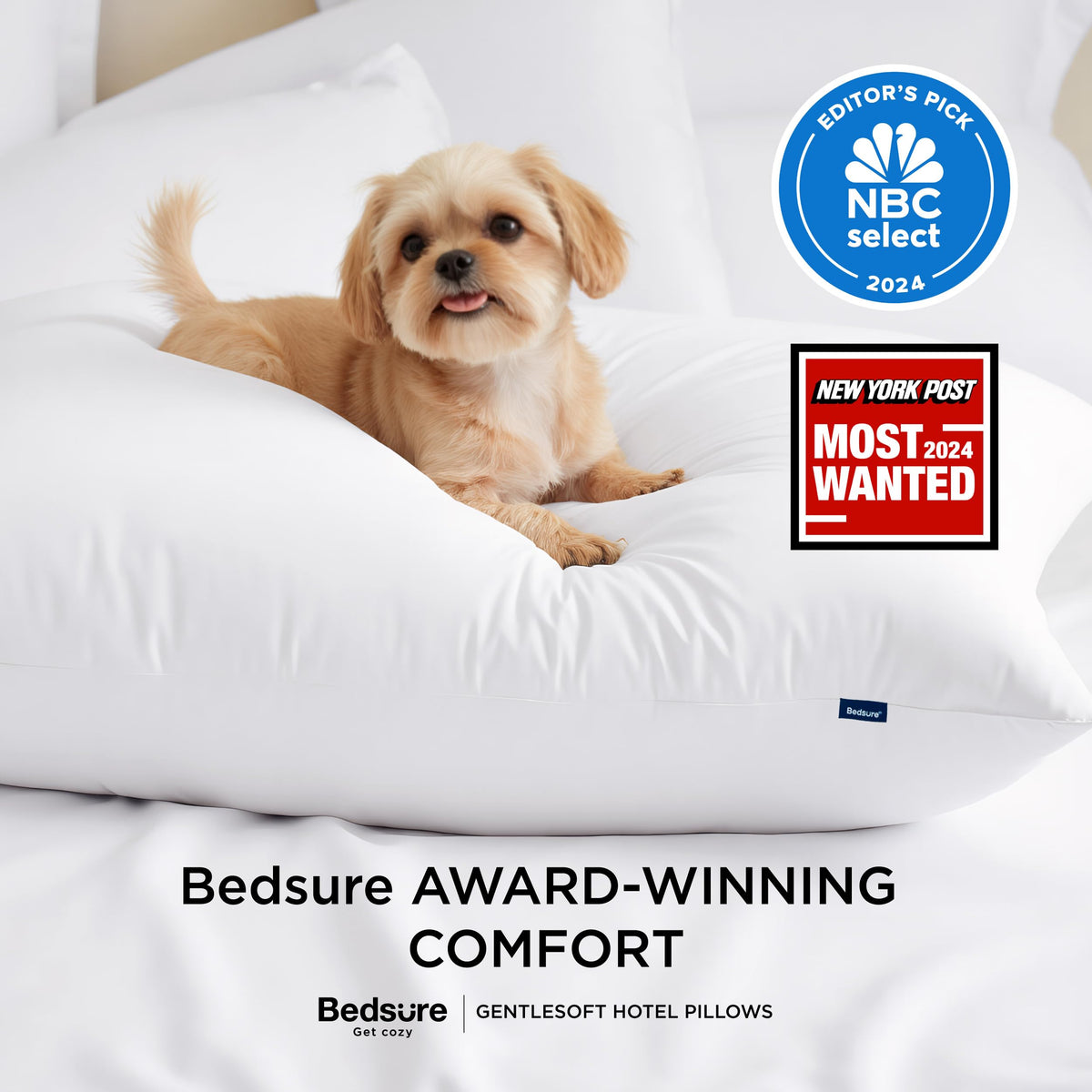 Queen Size Set of 2 Bed Pillows Q3176