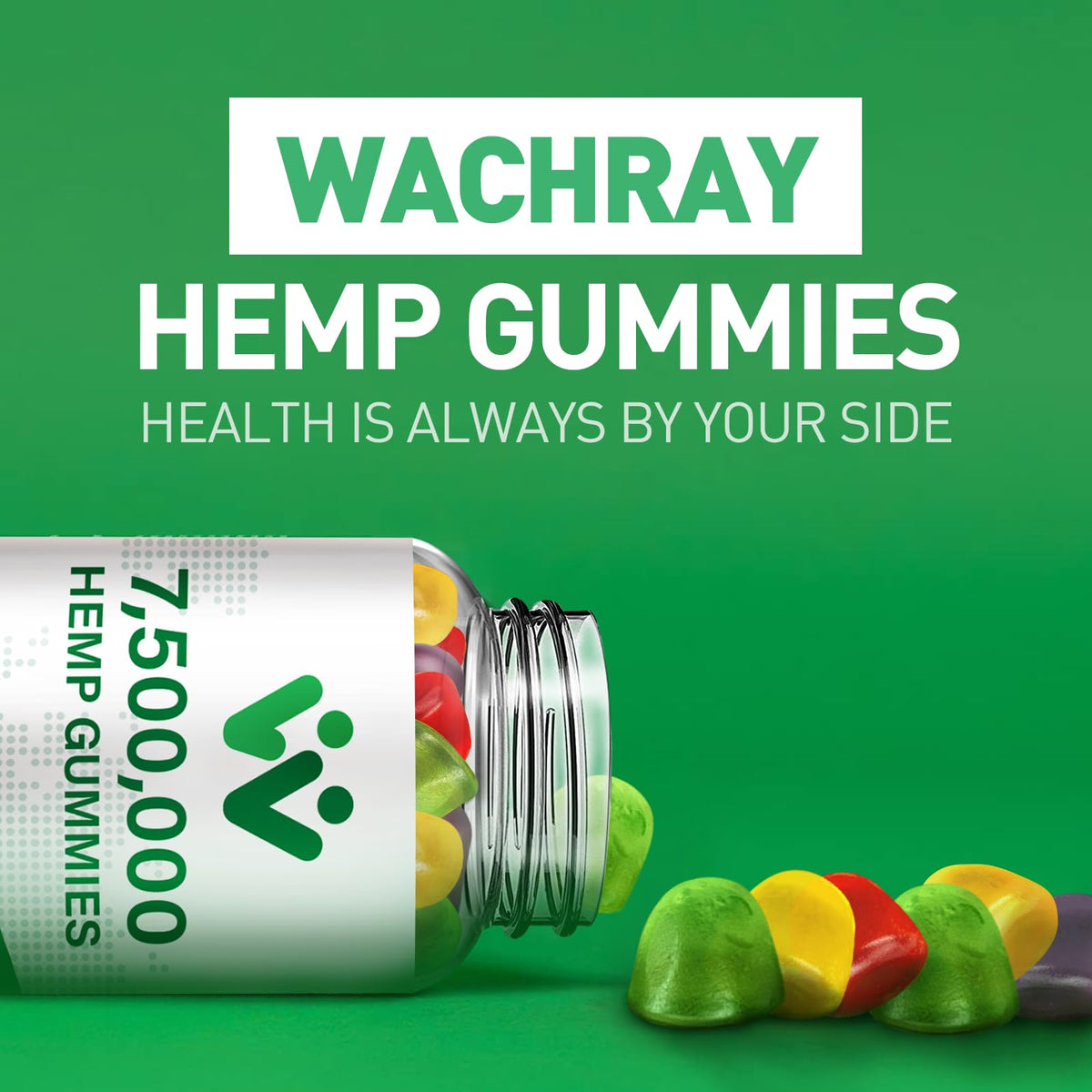 Organic Hemp Gummies 240 Count L6098