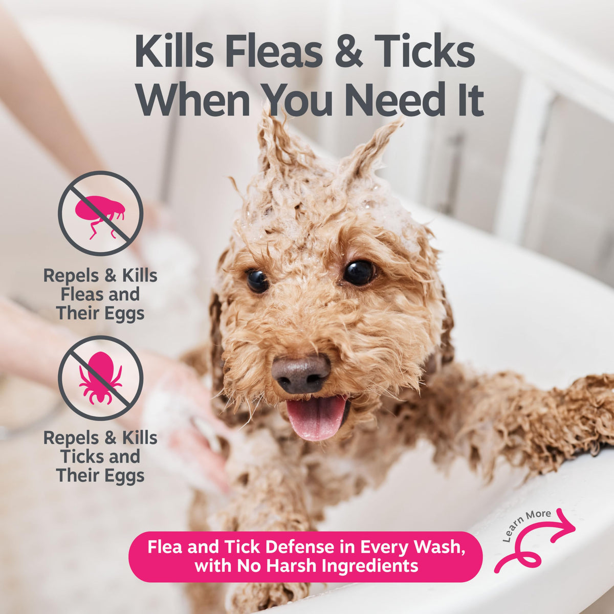 Flea and Tick Shampoo for Dogs 16oz G191063