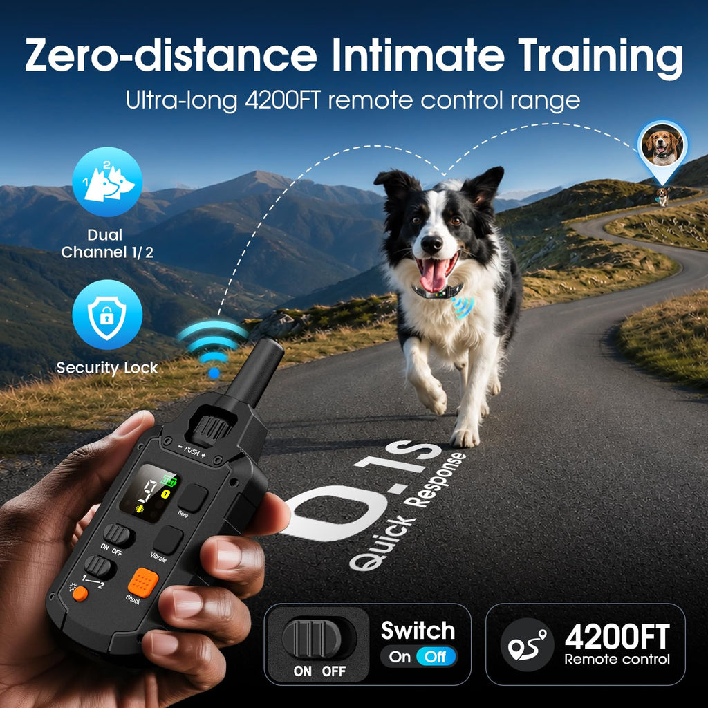 2 Dogs Waterproof Dog Training Collar with Remote O9809