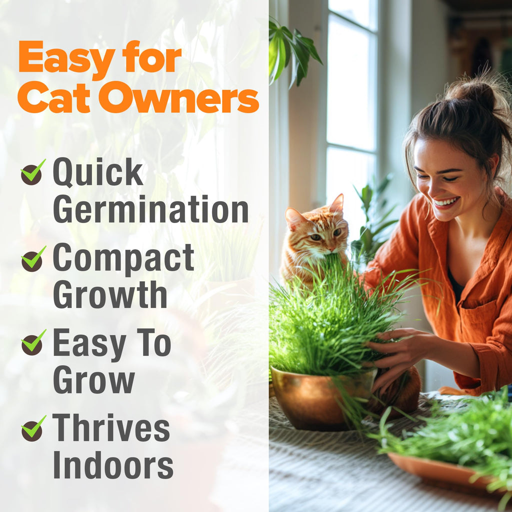 Organic Cat-Grass Seed Mix 4 oz J653340