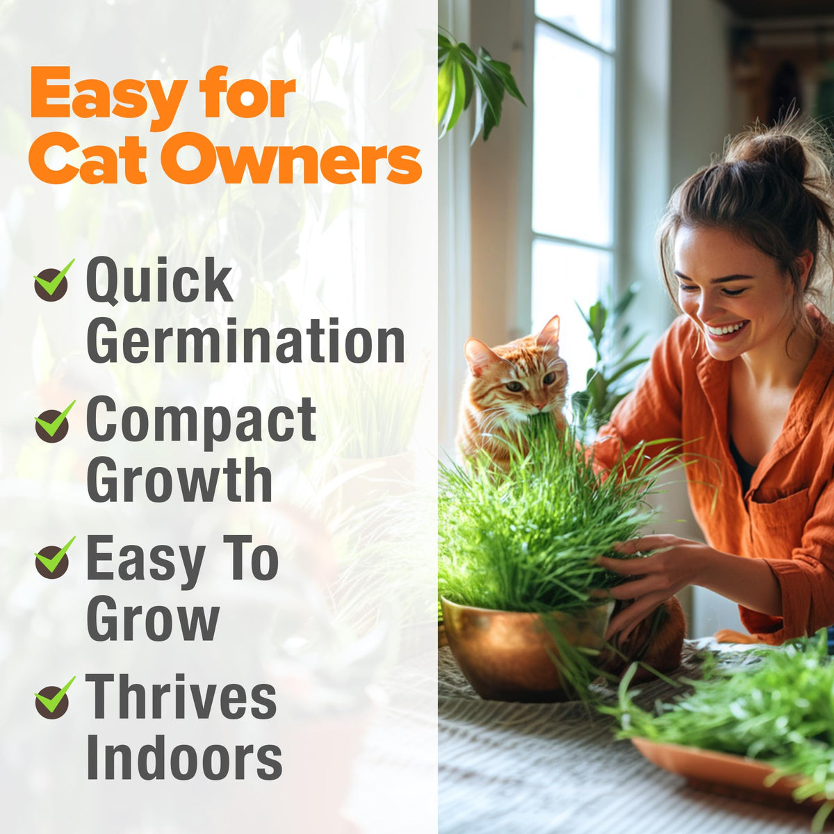 Organic Cat-Grass Seed Mix 4 oz J653340