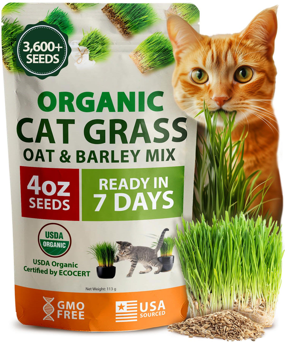 Organic Cat-Grass Seed Mix 4 oz J653340