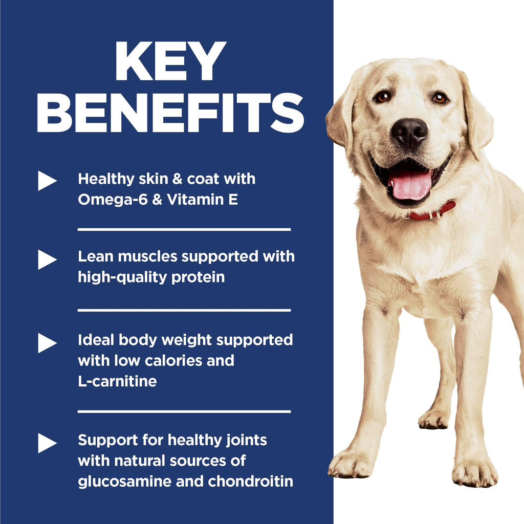 Large Breed Dry Dog Food L962477