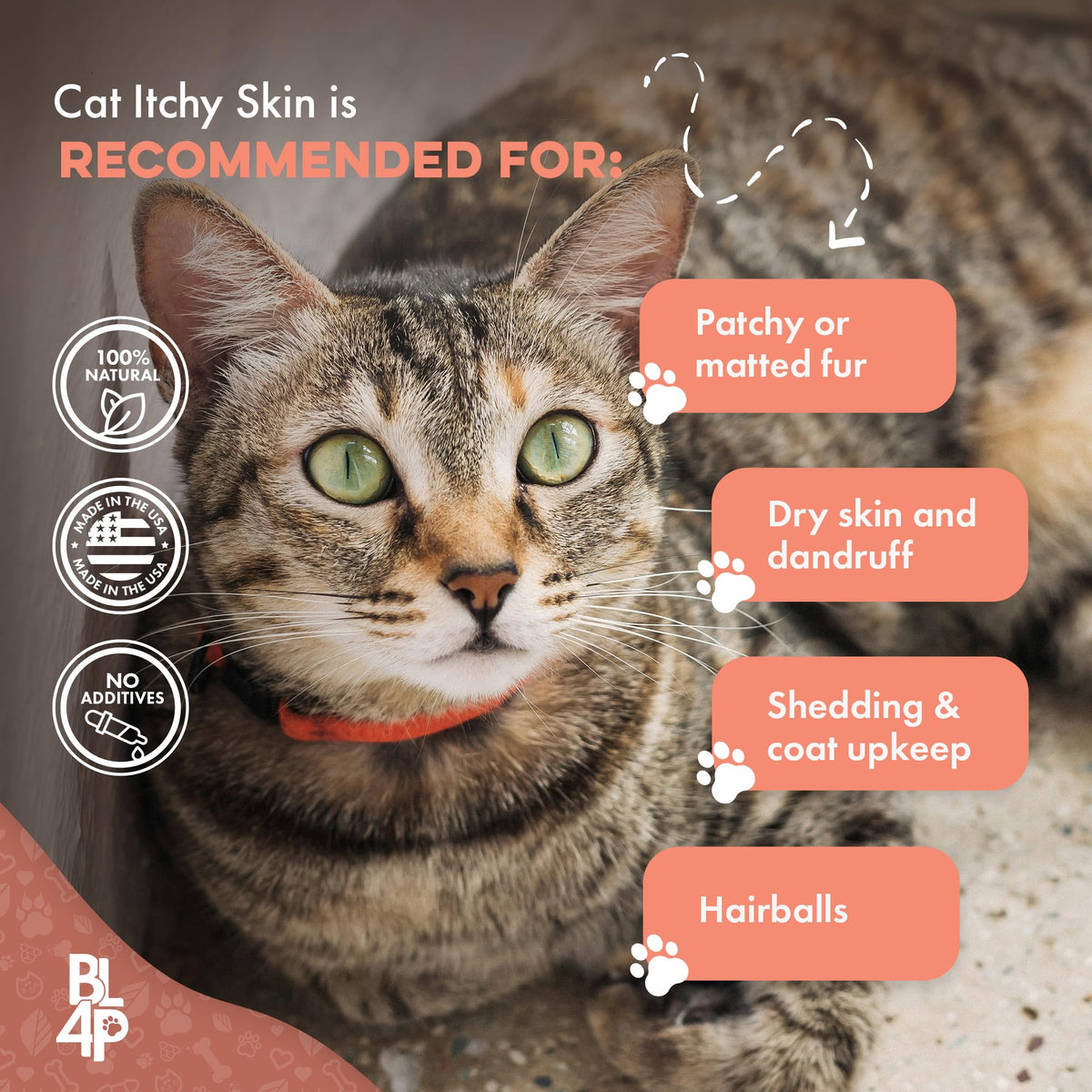 Cat Itchy Skin Relief & Hair Loss Treatment 400 Pills I9087