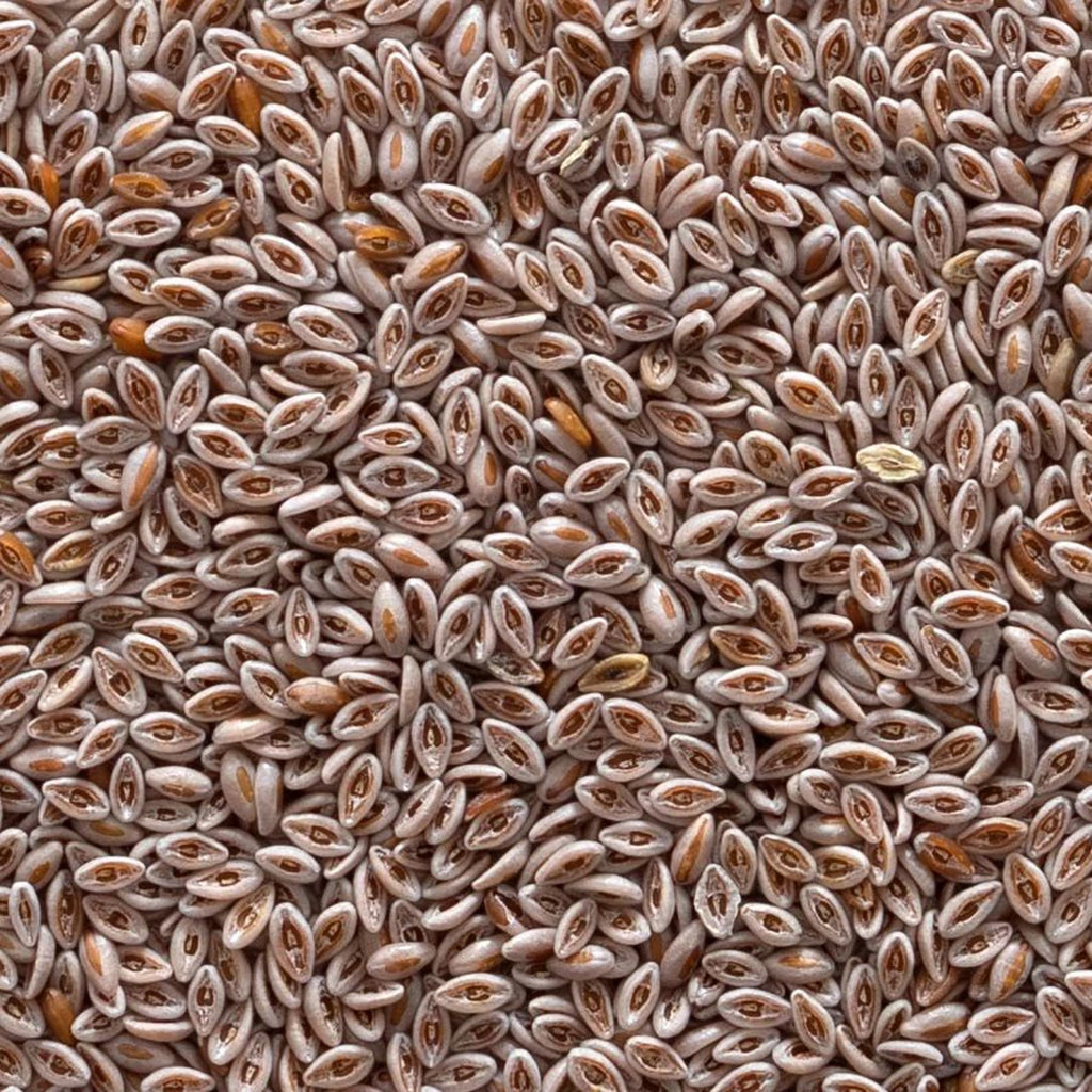 Organic Whole Psyllium Seed 1lb L825