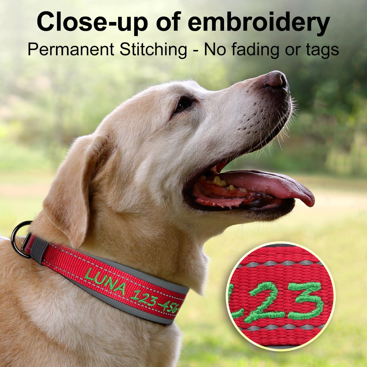 Personalized Dog Collar K33623