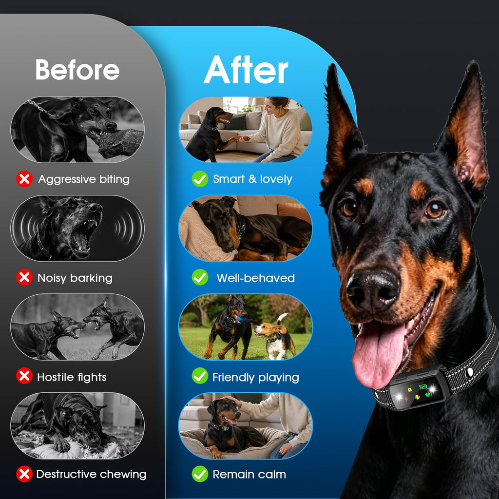 2 Dogs Waterproof Dog Training Collar with Remote O9809