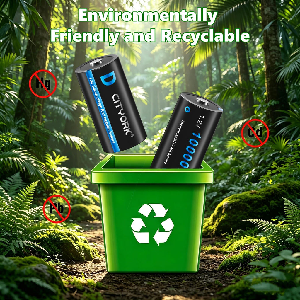 4 Pack Rechargeable D Batteries with Charger E1735