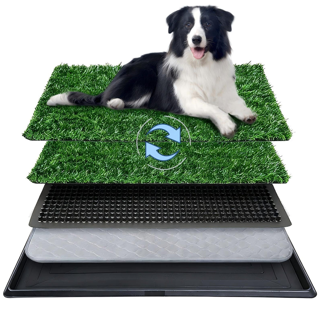 20x30 Inch Artificial Grass Dog Potty Pad with Tray T4280