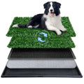 20x30 Inch Artificial Grass Dog Potty Pad with Tray T4280