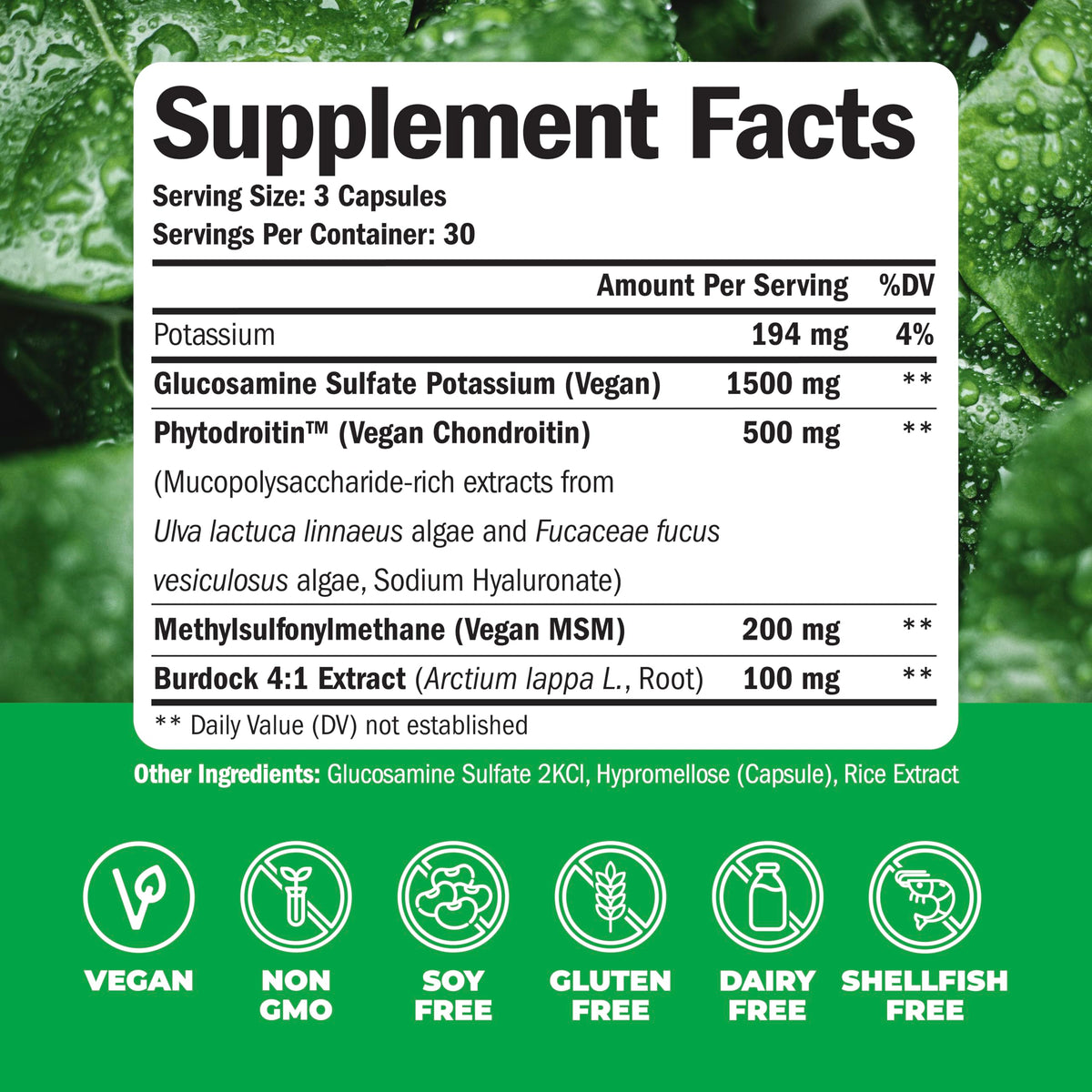 Turmeric Curcumin with Black Pepper Extract Joint Support Supplement V4014