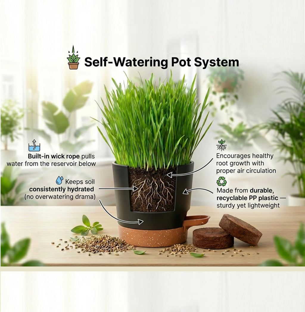Cat Grass Gift Set with Self-Watering Pot & 3-Pack Refill O9733